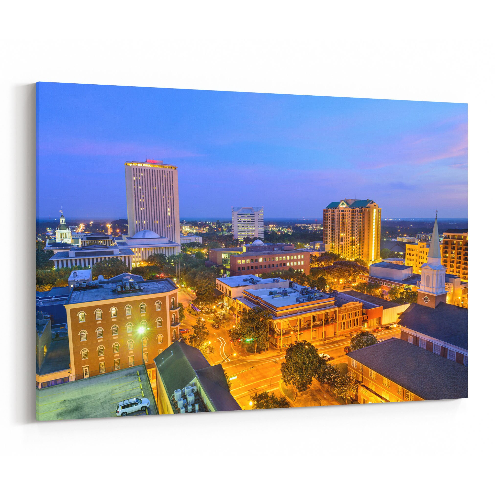 Tallahassee Skyline Wall Art Tallahassee Canvas Print Florida Etsy