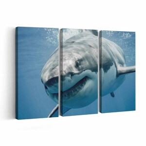 Shark Canvas print || Shark Wall Art || Shark Poster || Shark home decor || Shark Print