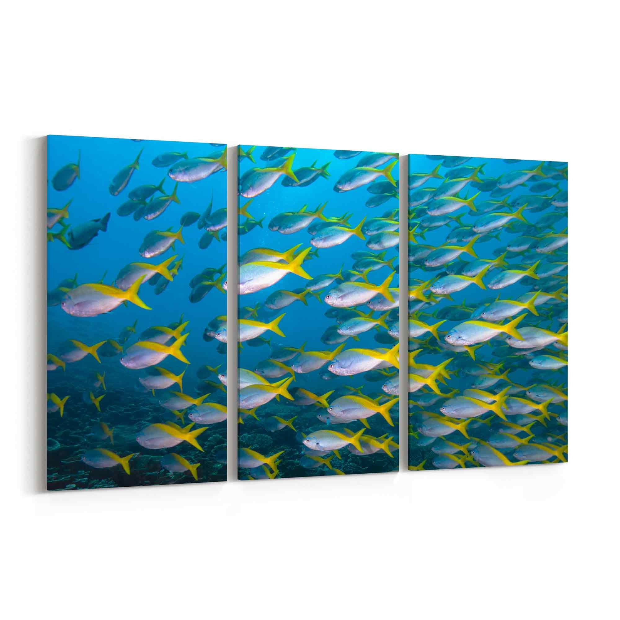 Fish Wall Art Fish Canvas Art Multiple Sizes Wrapped Etsy