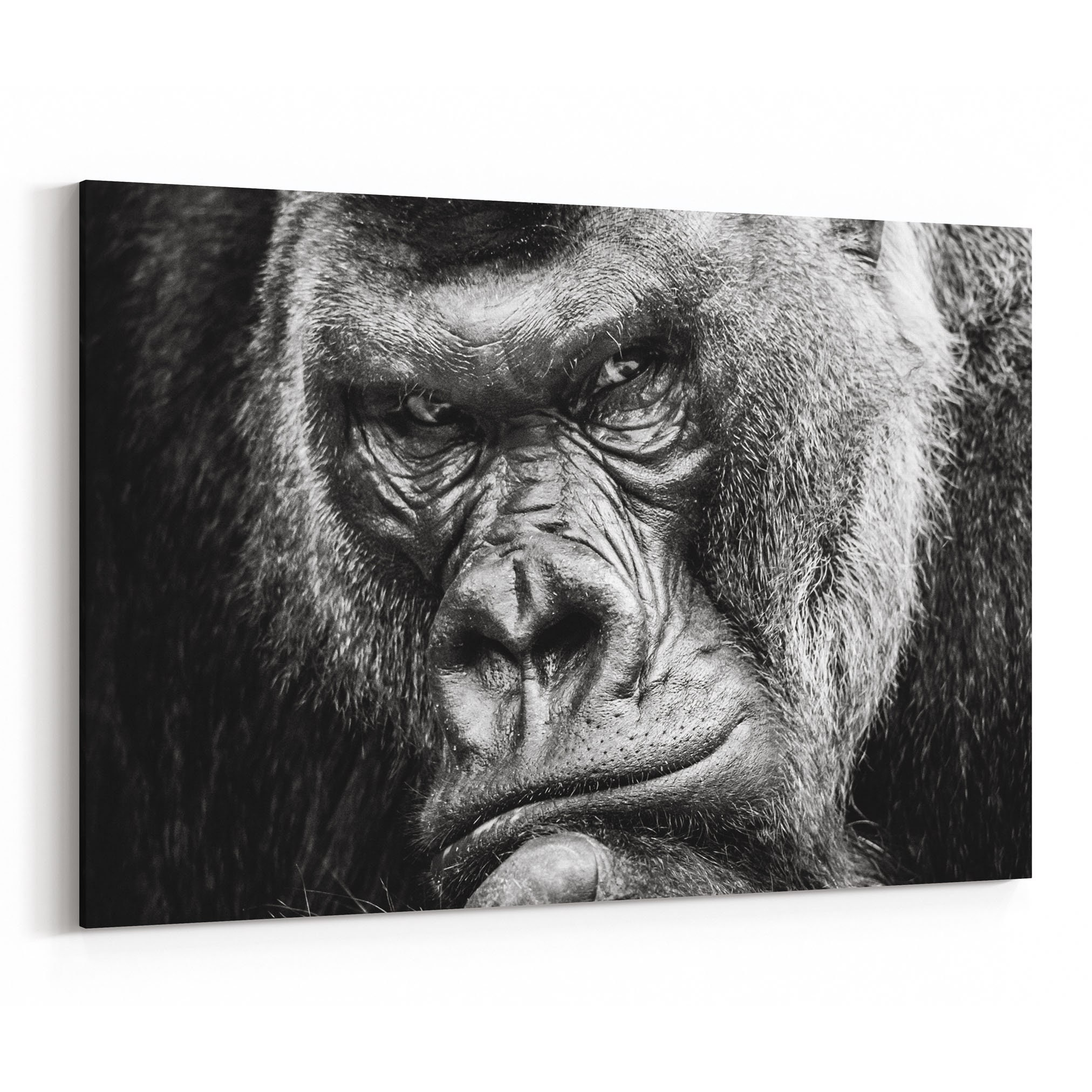 Gorilla Canvas Print Gorilla Wall Art Canvas Multiple Sizes Etsy