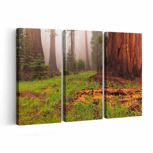 Sequoia Forest Canvas print || Sequoia Forest Wall Art || Sequoia Forest Poster || Sequoia Forest home decor || Sequoia Forest Print