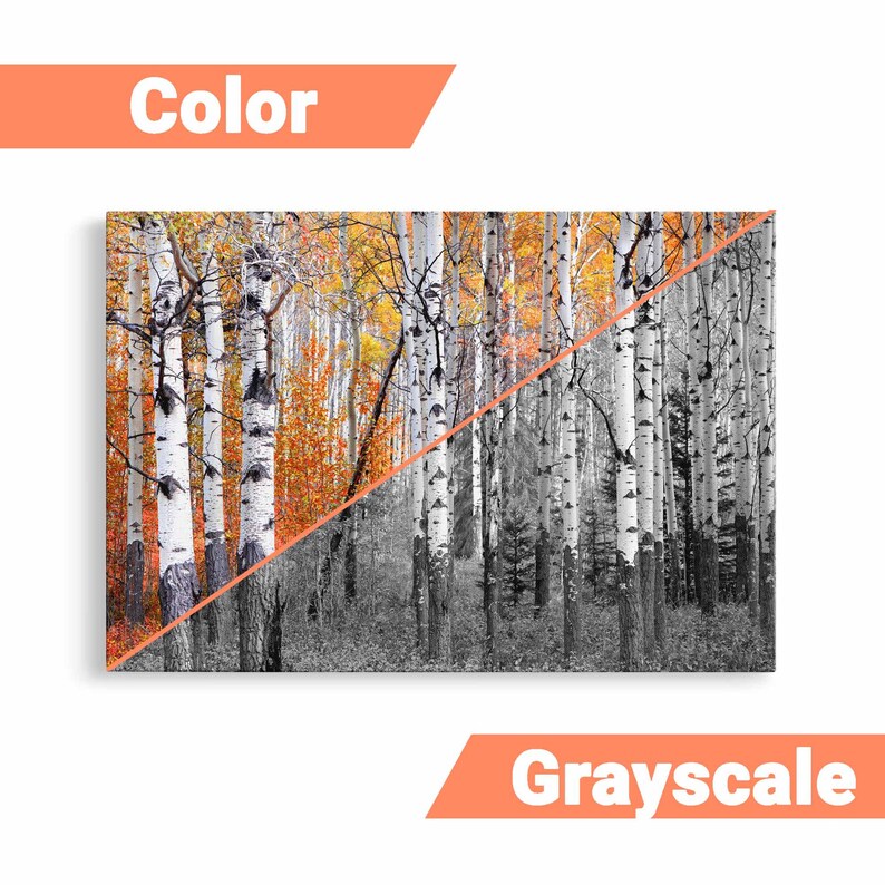 Aspen Trees Wall Art Aspen Trees Canvas Art multiple Etsy