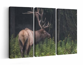 Elk wall art | Canvas Print or Poster (framed) | Color / Black & White