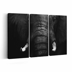 Elephant Canvas print || Elephant Wall Art || Elephant Poster || Elephant home decor || Elephant Print
