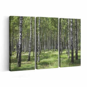 Green Forest Canvas Print Green Forest Wall Art Canvas Multiple Sizes Wrapped Canvas on Wooden Frame