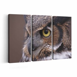 Owl Canvas print || Owl Wall Art || Owl Poster || Owl home decor || Owl Print