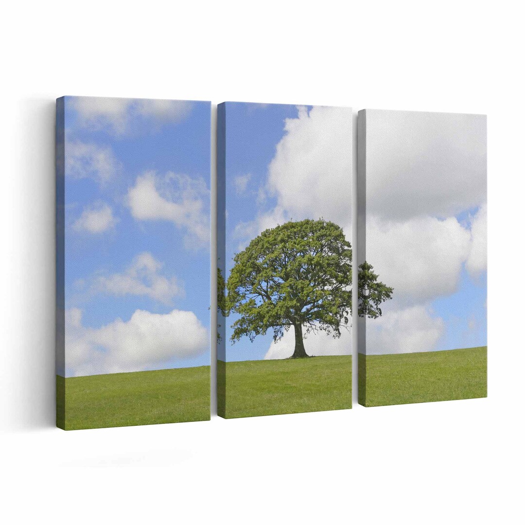 Oak Tree Canvas Print Oak Tree Wall Art Oak Tree Poster Oak Tree Home