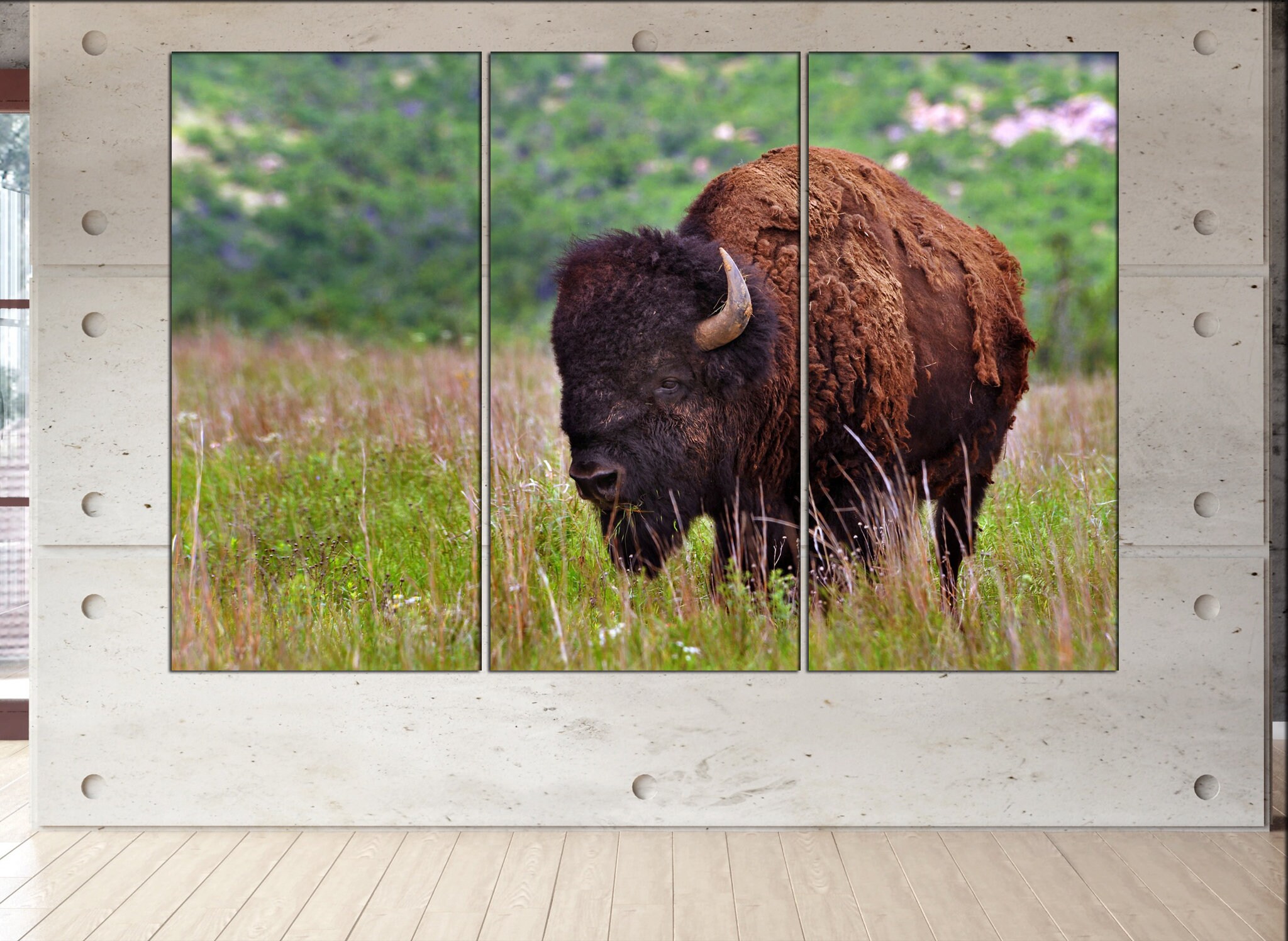 Buffalo canvas wall art Buffalo wall decoration Buffalo canvas wall art