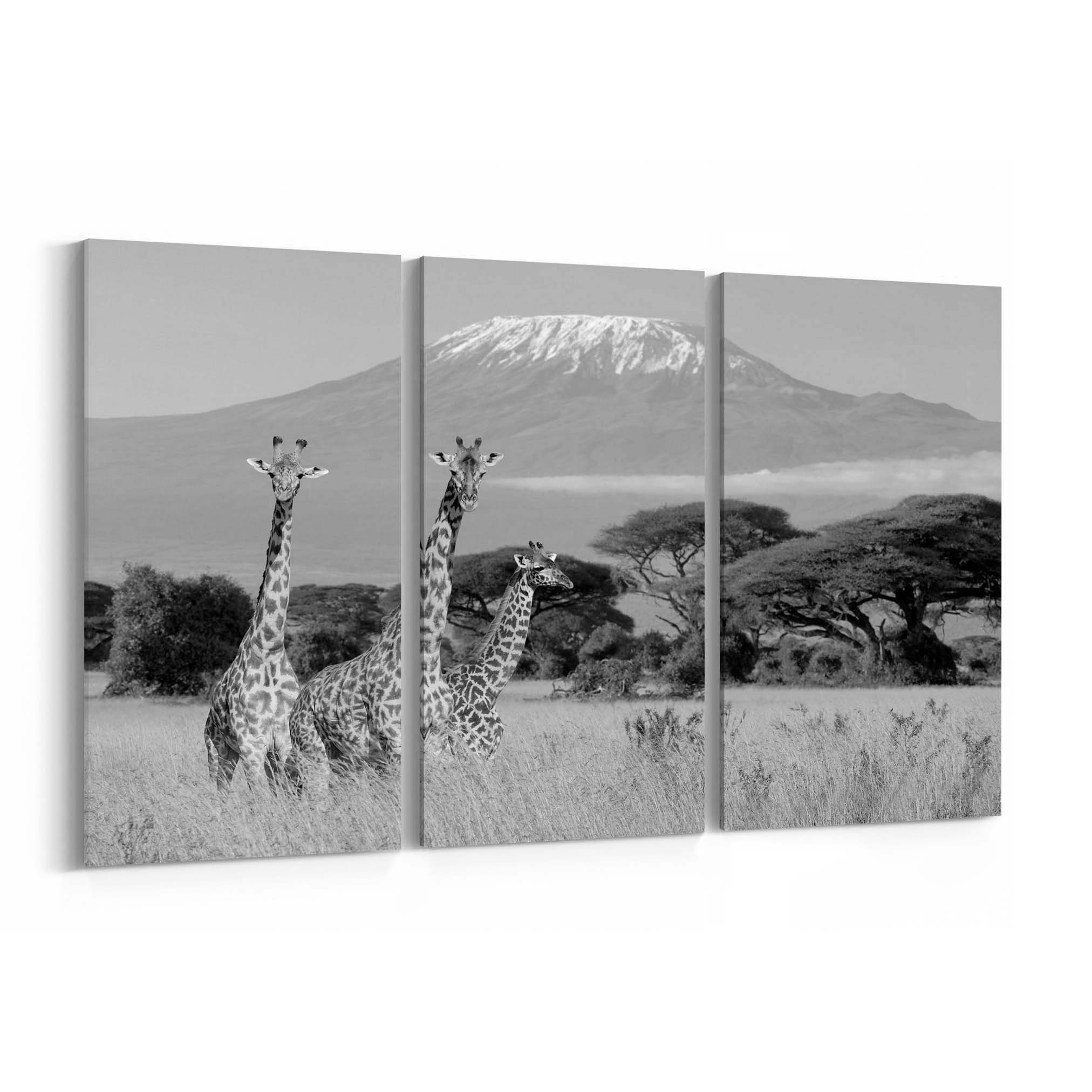 Giraffe Wall Art Canvas Giraffe Canvas Print Multiple Sizes Etsy