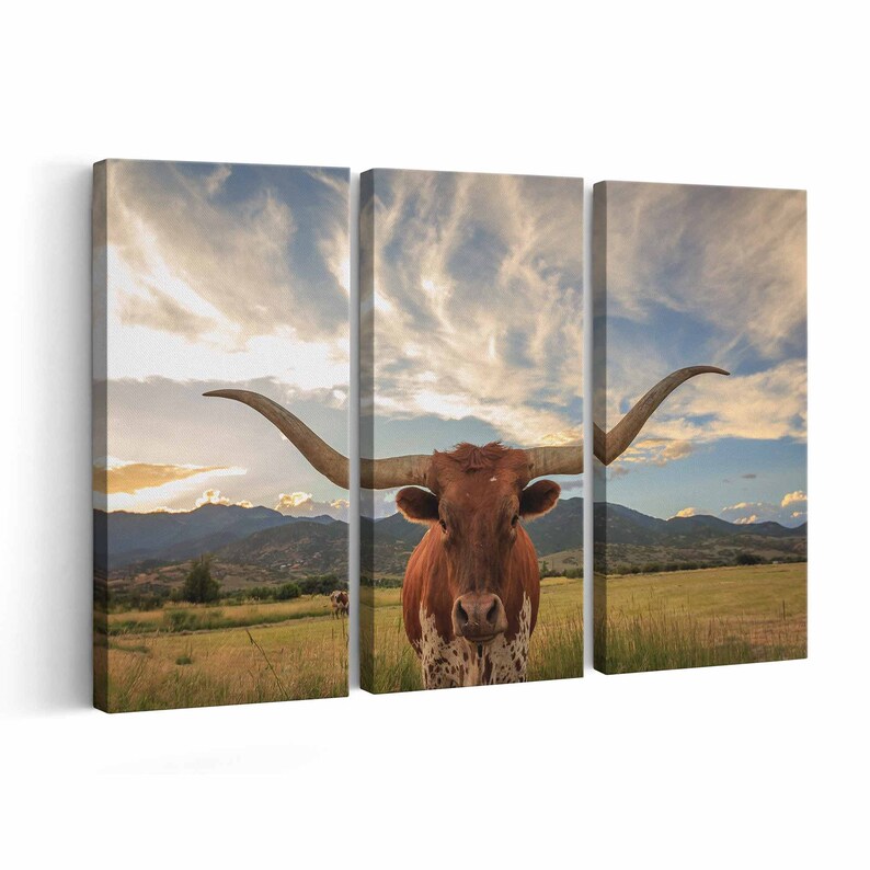 Texas Longhorn Canvas Print Texas Longhorn Wall Art Canvas Etsy