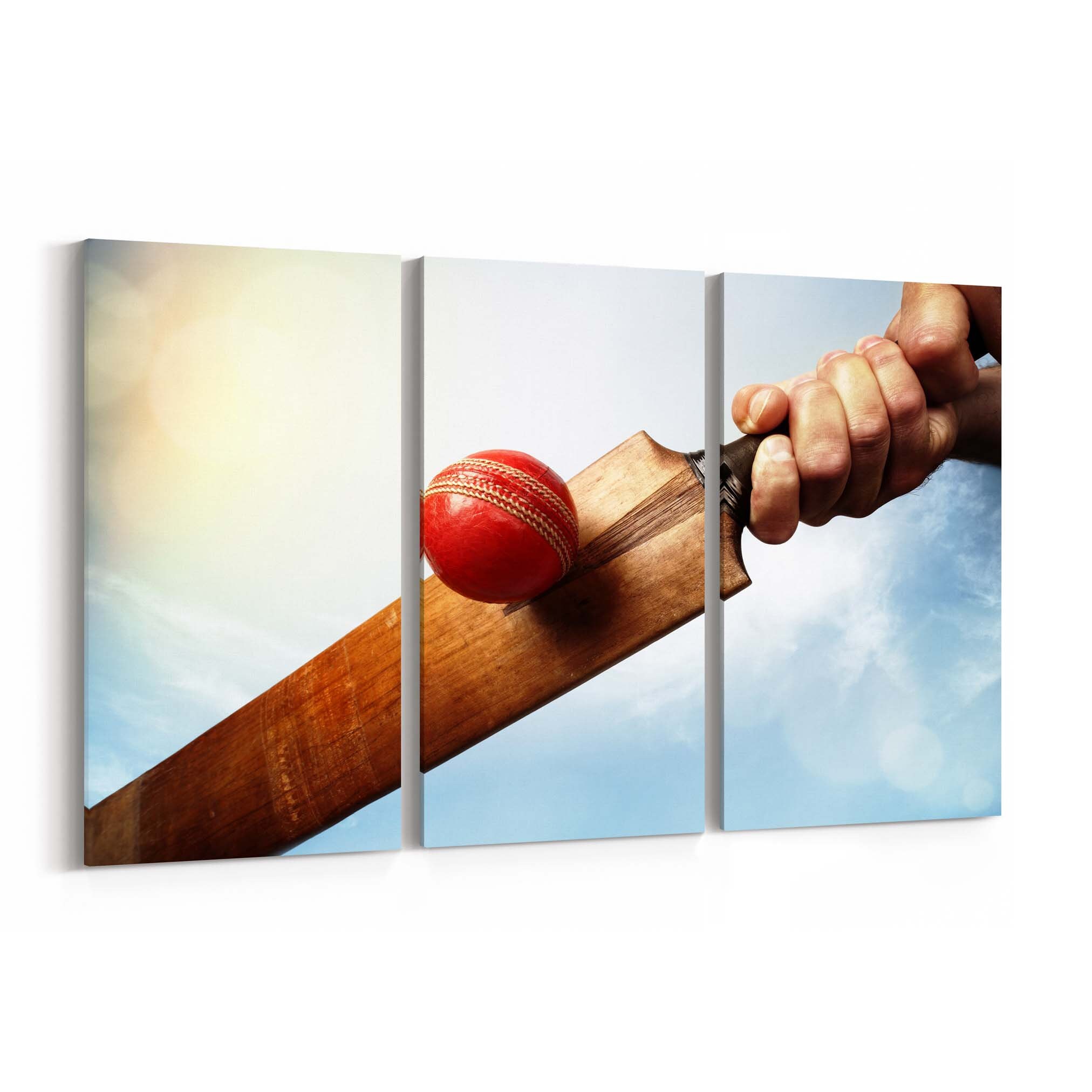 Cricket Canvas Print Cricket Wall Art Canvas Multiple Sizes Etsy