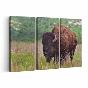American Buffalo Canvas Print American Buffalo Wall Art Canvas Multiple Sizes Wrapped Canvas on Wooden Frame
