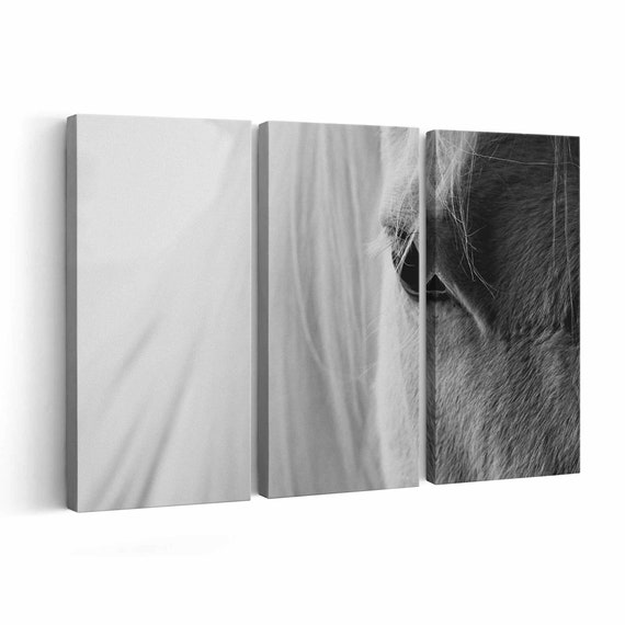 White Horse Canvas print || White Horse Wall Art || White Horse Poster || White Horse home decor || White Horse Print