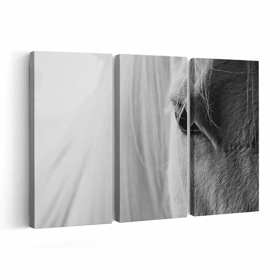 White Horse Canvas print || White Horse Wall Art || White Horse Poster || White Horse home decor || White Horse Print