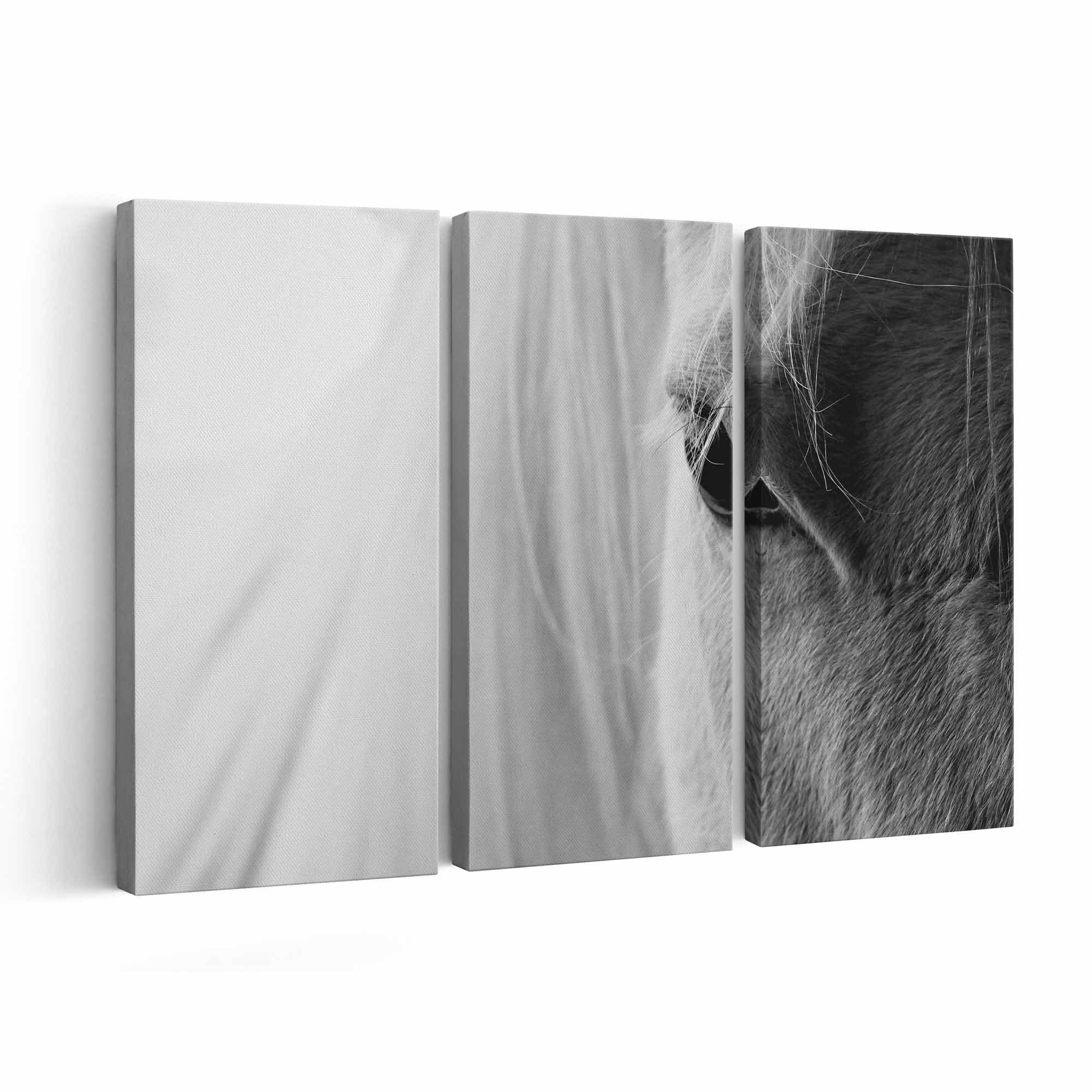 White Horse Canvas print || White Horse Wall Art || White Horse Poster || White Horse home decor || White Horse Print