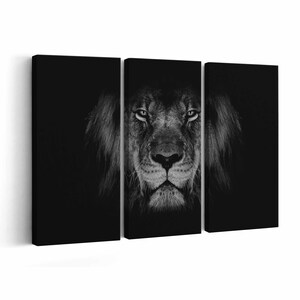 Lion Canvas print || Lion Wall Art || Lion Poster || Lion home decor || Lion Print