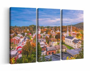 Montpelier Skyline wall art | Canvas or Poster Print (framed) | Color / Black-White