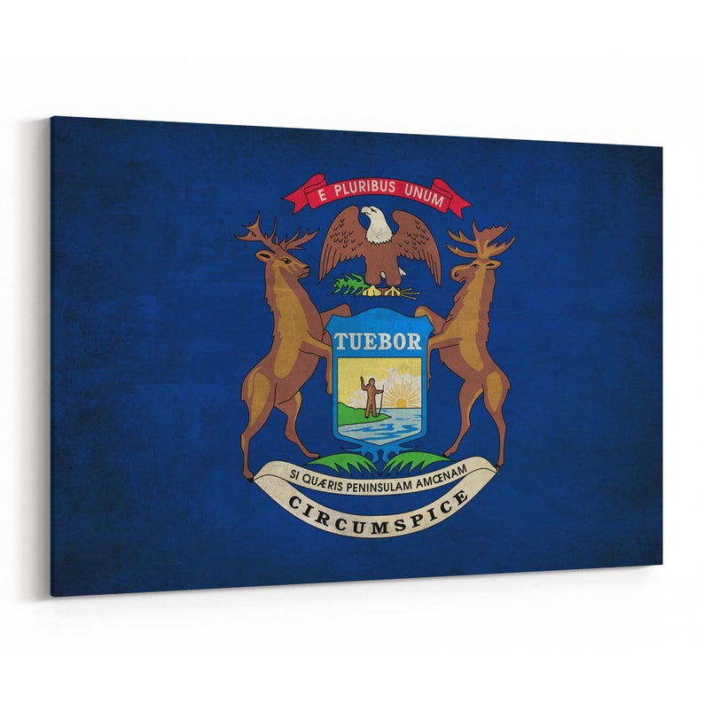 Michigan State Flag Canvas Print Michigan State Flag Wall Art | Etsy