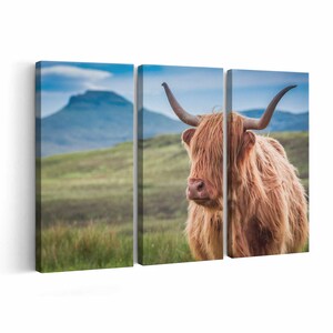 Highland Cow Canvas print || Highland Cow Wall Art || Highland Cow Poster || Highland Cow home decor || Highland Cow Print