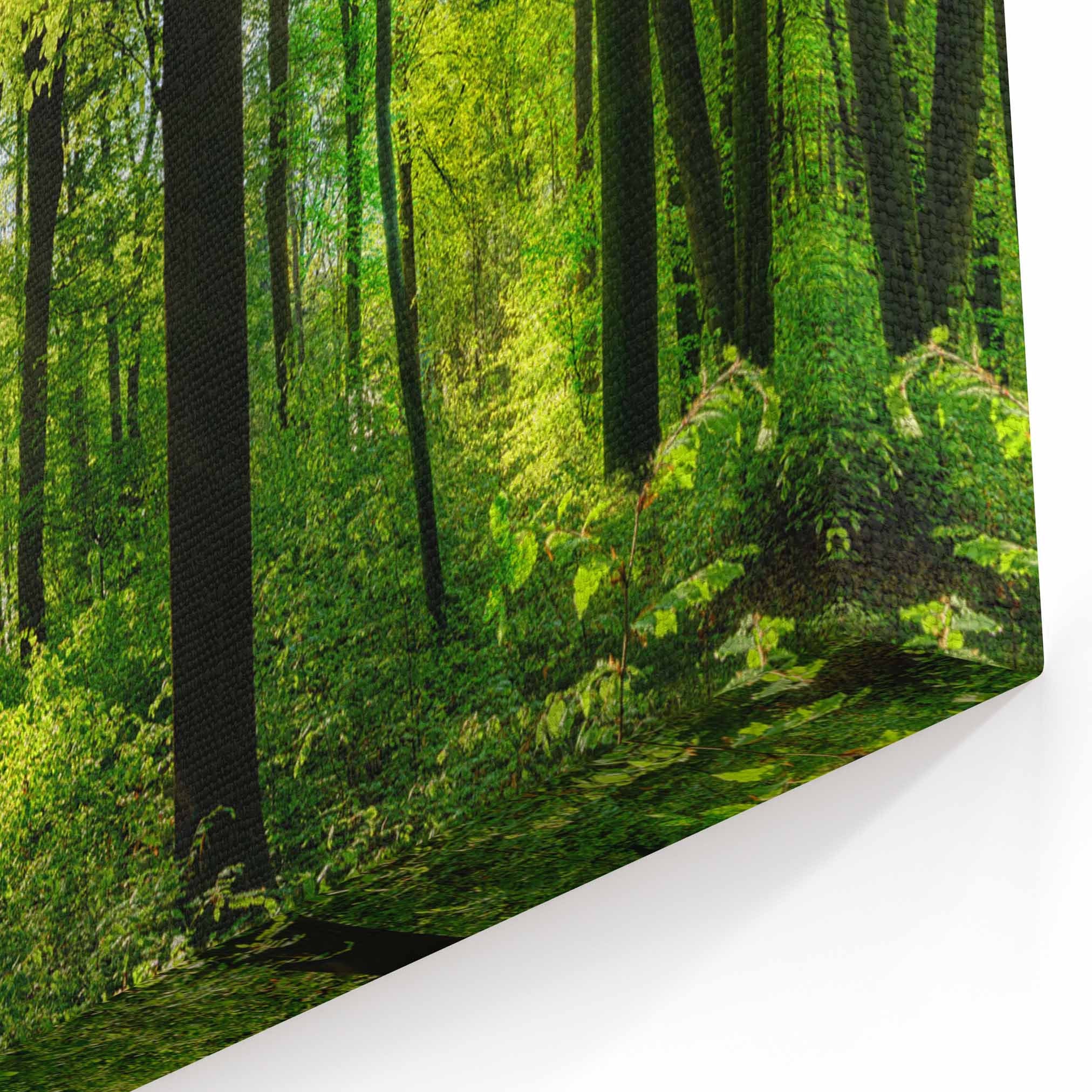 Forest Wall Art Canvas Forest Canvas Print Multiple Sizes Etsy