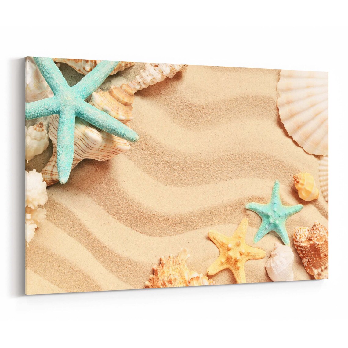 Seashells on Beach Canvas Print Seashells on Beach Wall Art | Etsy