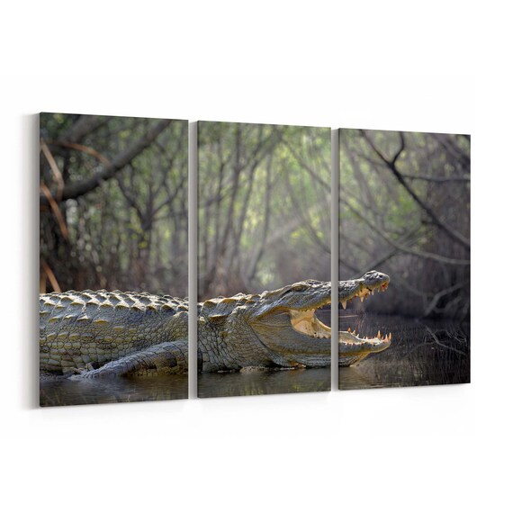 wooden crocodile walker