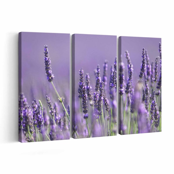 Lavender Canvas Art Etsy