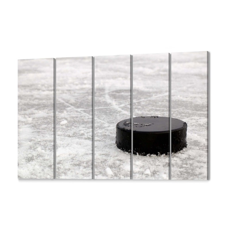 Hockey Puck Wall Art Canvas Hockey Puck Canvas Print Multiple Etsy