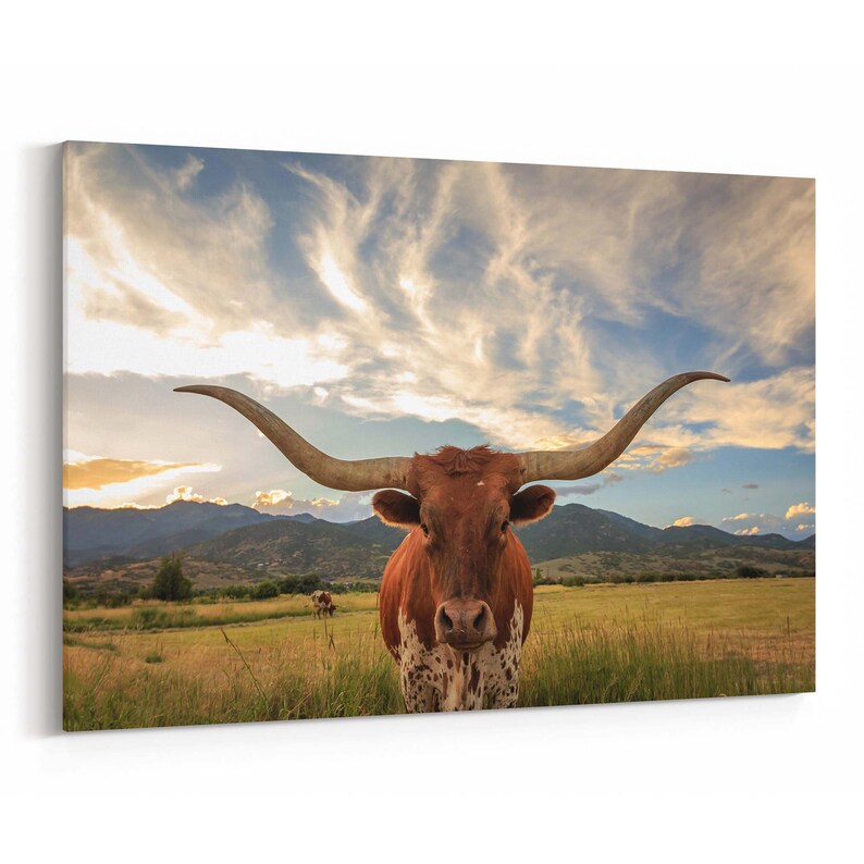 Texas Longhorn Canvas Print Texas Longhorn Wall Art Canvas