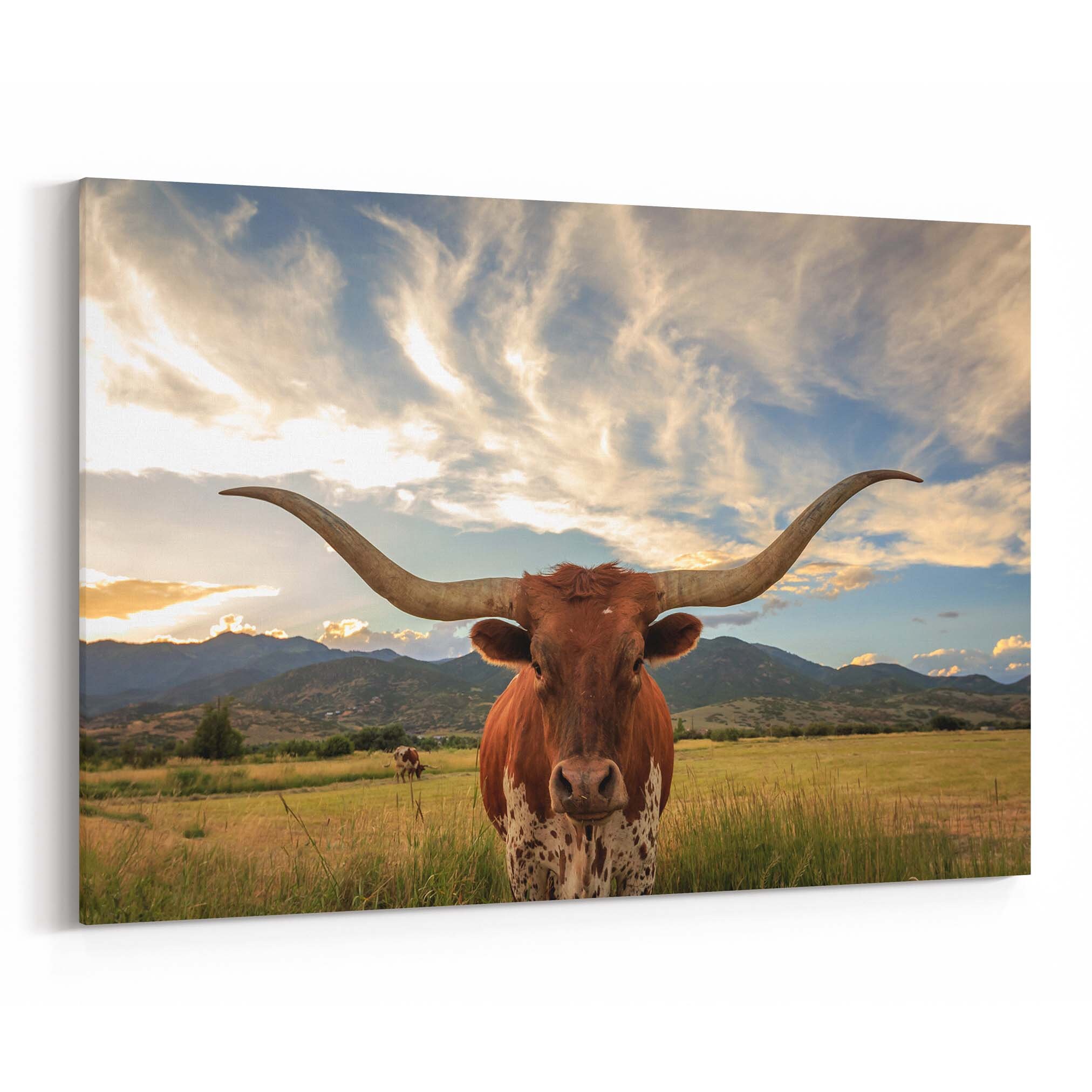 Texas Longhorn Canvas Print Texas Longhorn Wall Art Canvas Etsy