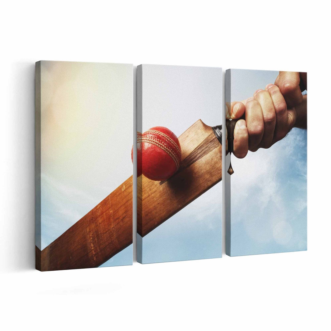 Cricket Canvas Print Cricket Wall Art Canvas Multiple Sizes Etsy