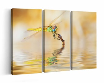 Dragonfly wall art | Canvas or Poster Print (framed) | Color / Black & White