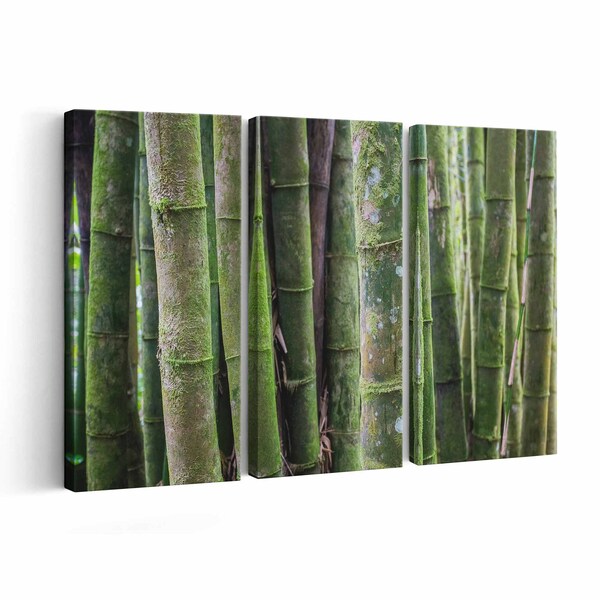 Bamboo Wall Art Etsy