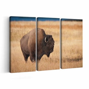 Bison Canvas print || Bison Wall Art || Bison Poster || Bison home decor || Bison Print