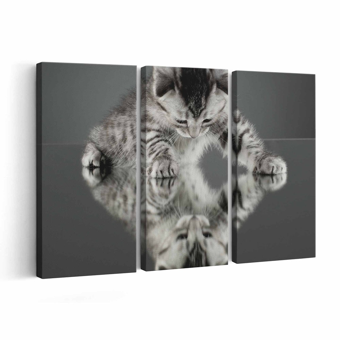 Kitten Canvas Print Kitten Wall Art Kitten Poster Kitten Home Decor