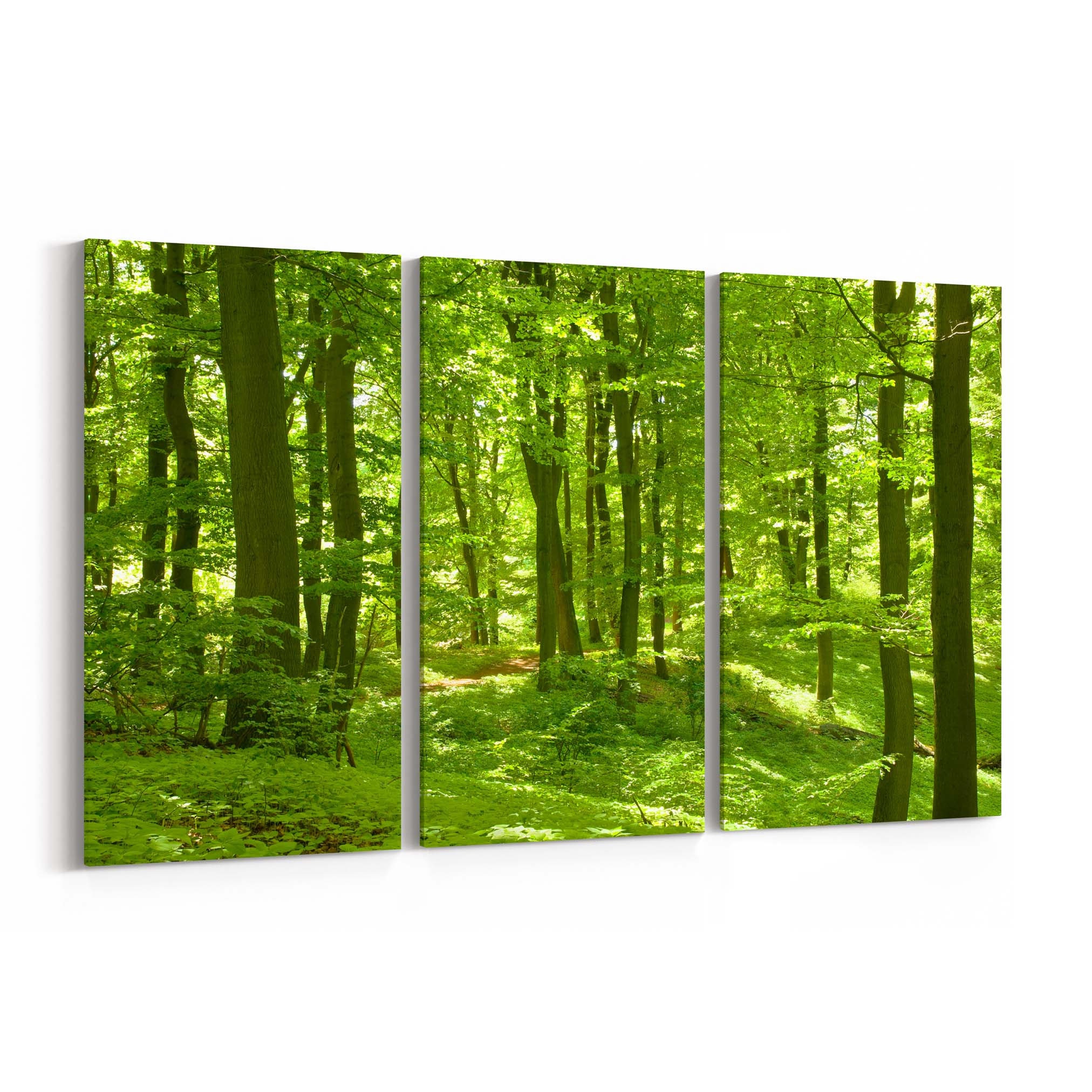 Round Canvas Print of Into the Forest main image 1