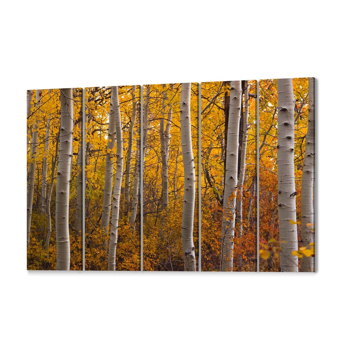 Aspen Tree Canvas Print Aspen Tree Wall Art Canvas Multiple Etsy