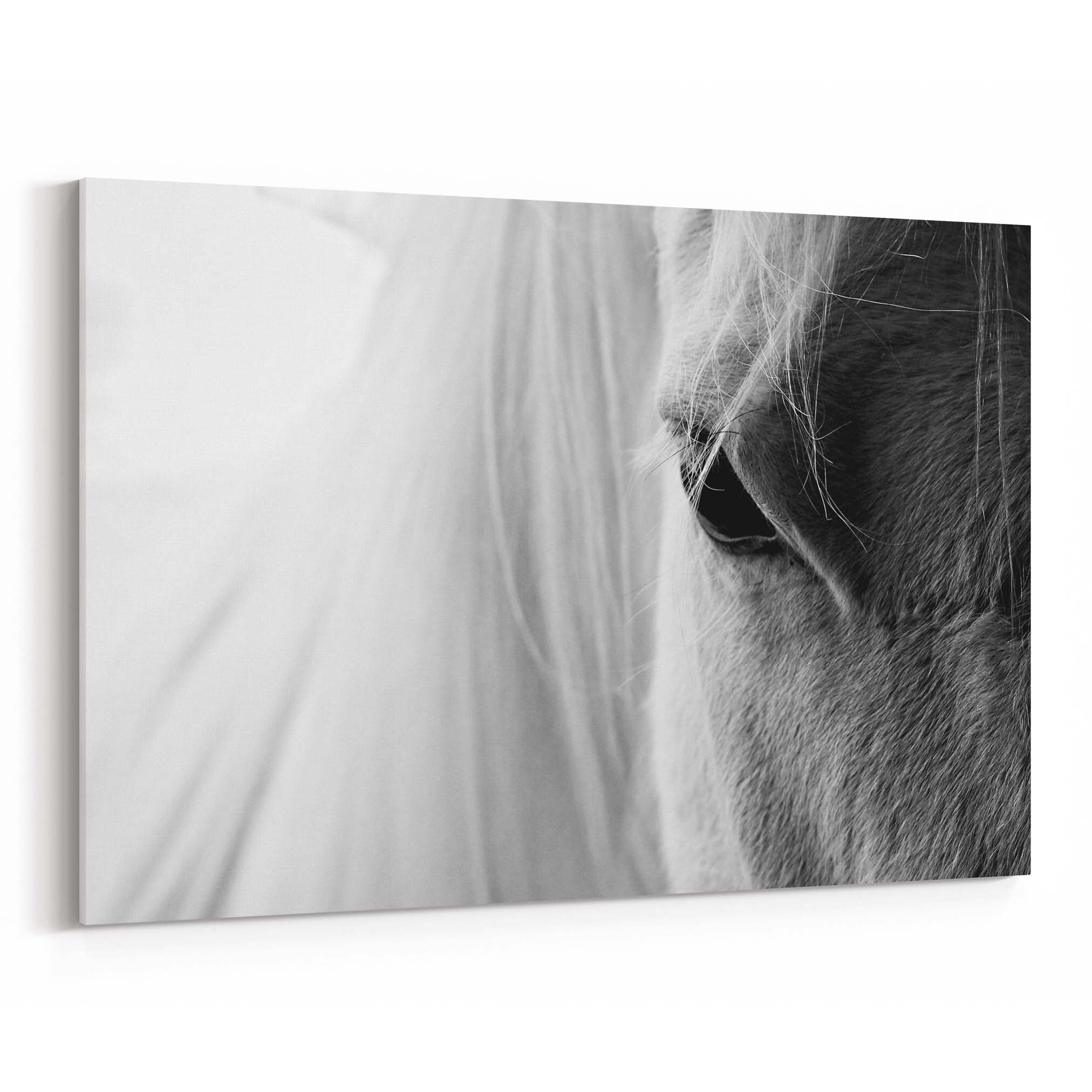White Horse Canvas Print White Horse Wall Art Canvas Multiple Etsy