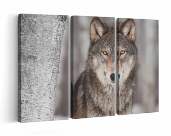 Grey Wolf Canvas print || Grey Wolf Wall Art || Grey Wolf Poster || Grey Wolf home decor || Grey Wolf Print