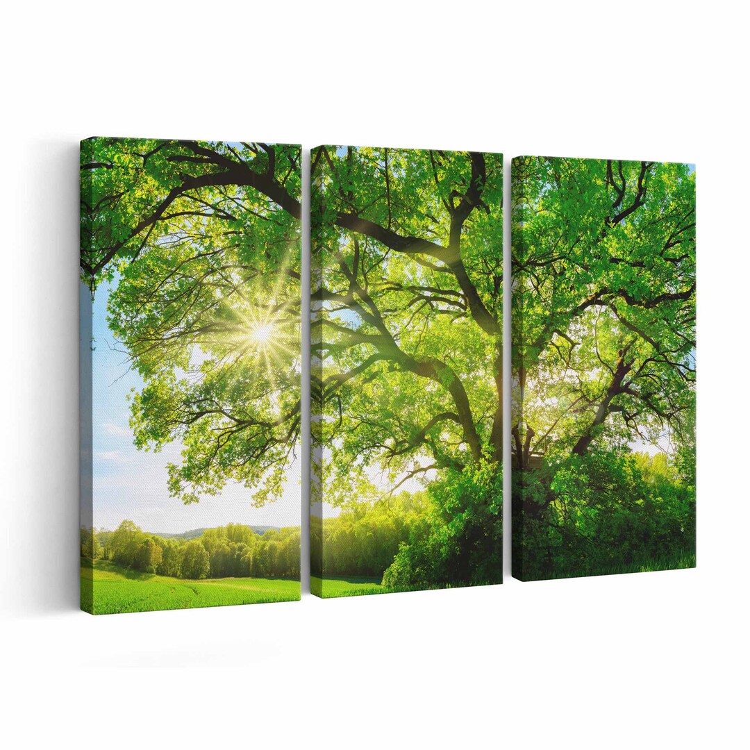 Oak Tree Canvas Print Oak Tree Wall Art Oak Tree Poster Etsy
