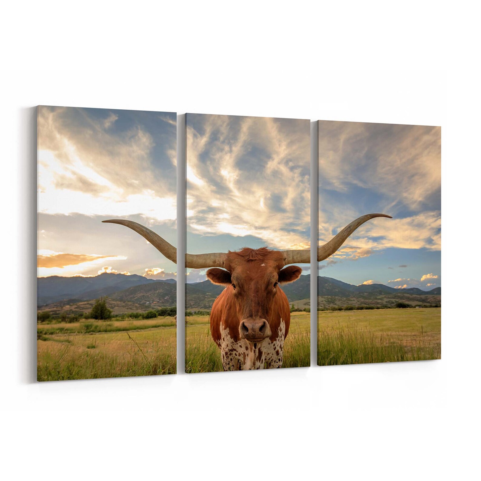 Texas Longhorn Canvas Print Texas Longhorn Wall Art Canvas Etsy