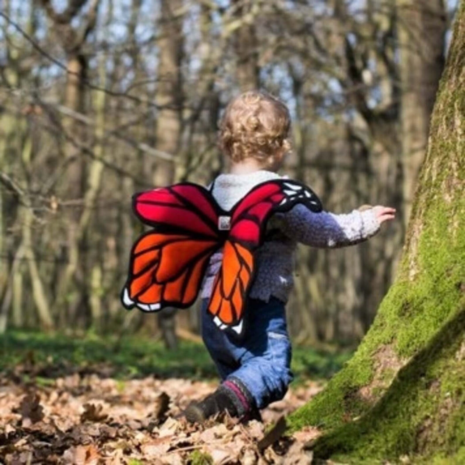 Butterfly Wings Kids Costume Etsy