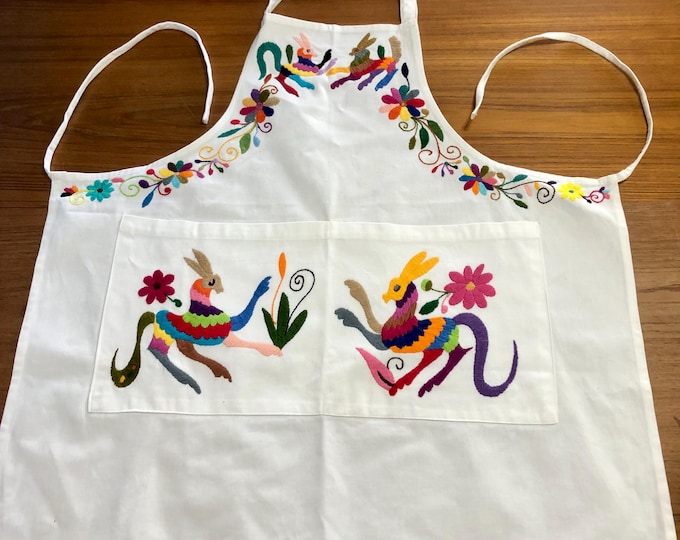 Hand Embroidered Otomí Adult Bib Apron from Hidalgo, Mexico - White