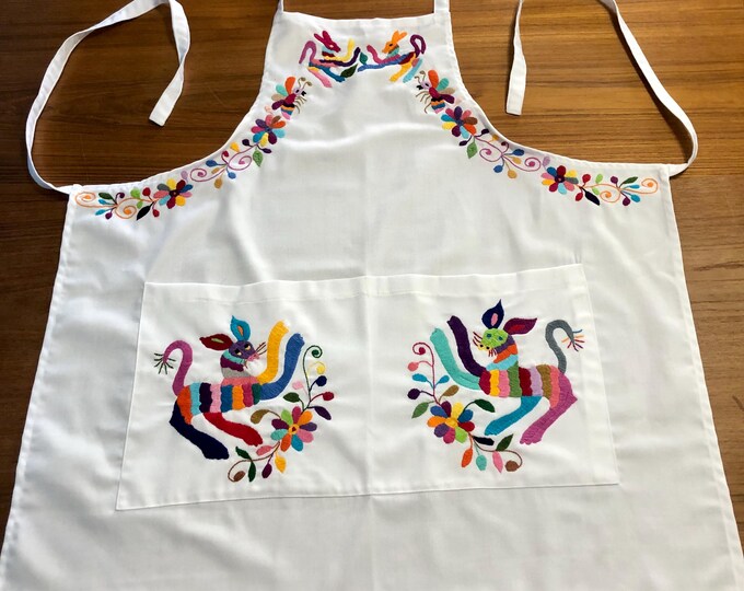 Hand Embroidered Otomí Adult Bib Apron from Hidalgo, Mexico - White