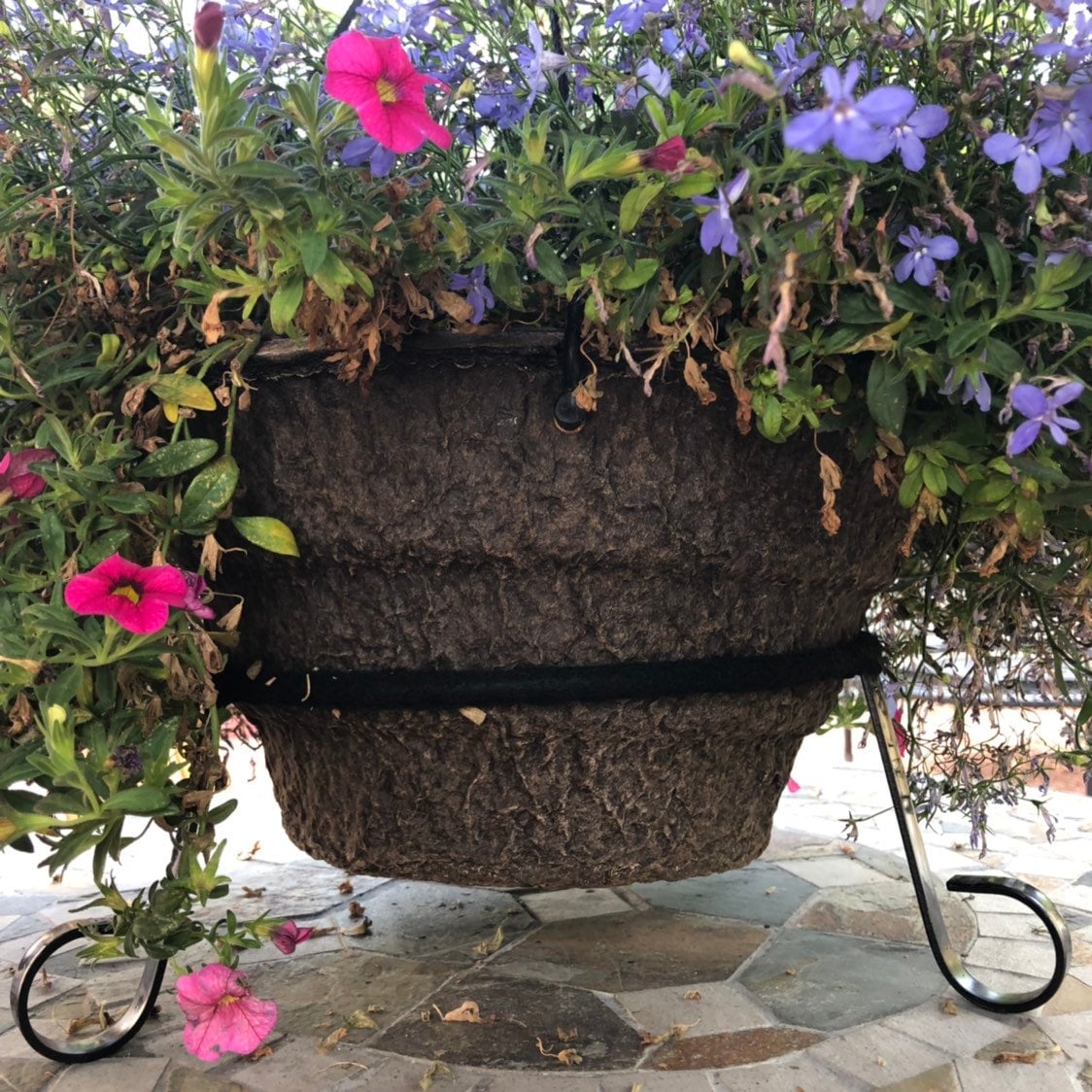 Black Metal Tripod Ceramic Pot / Plant Stand with 10 1/2” Ring