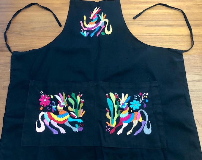Hand Embroidered Otomí Adult Bib Apron from Hidalgo, Mexico - Black