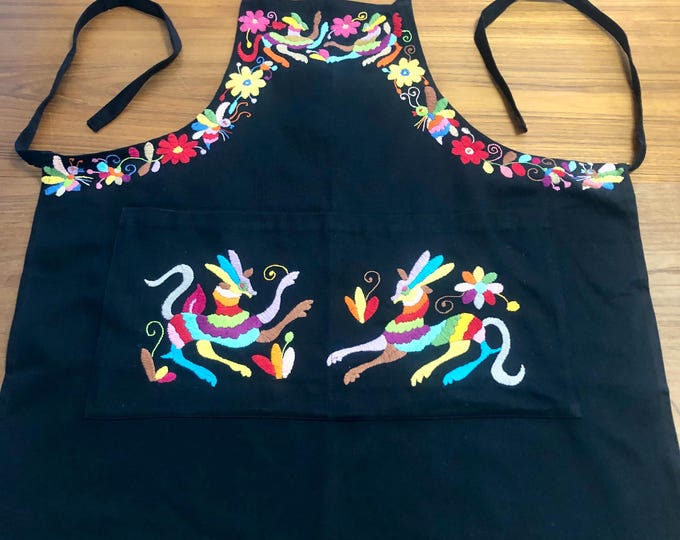 Hand Embroidered Otomí Adult Bib Apron from Hidalgo, Mexico - Black