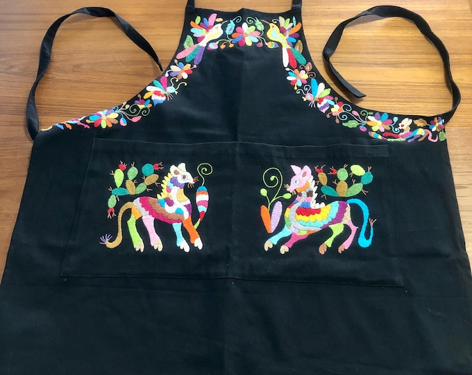 Hand Embroidered Otomí Adult Bib Apron from Hidalgo, Mexico - Black