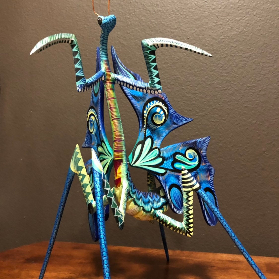 Praying hotsell mantis exotic