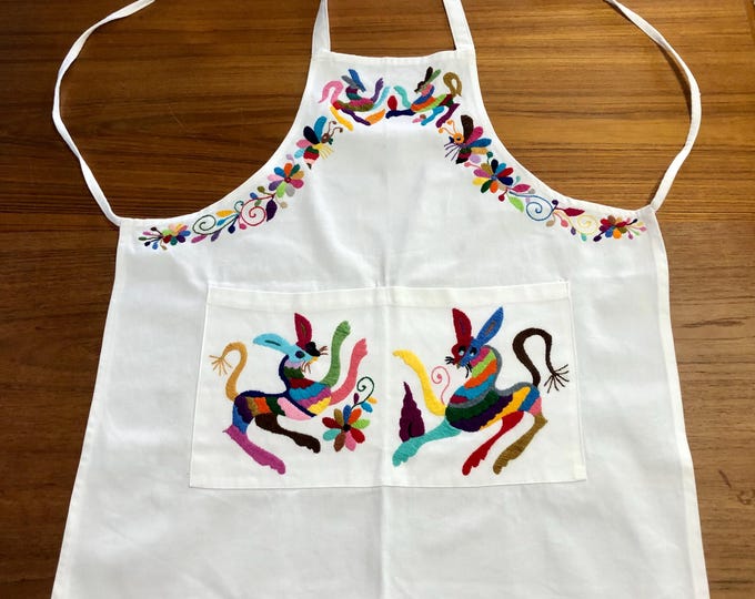 Hand Embroidered Otomí Adult Bib Apron from Hidalgo, Mexico - White